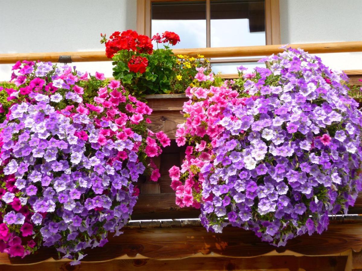 Ferienwohnung Huberhof Oberndorf in Tirol Dış mekan fotoğraf