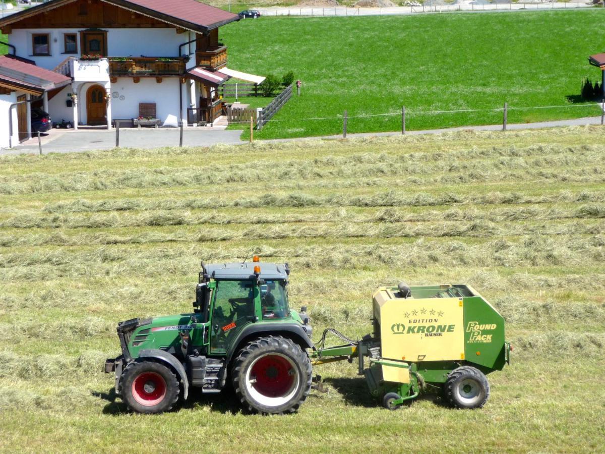 Ferienwohnung Huberhof Oberndorf in Tirol Dış mekan fotoğraf