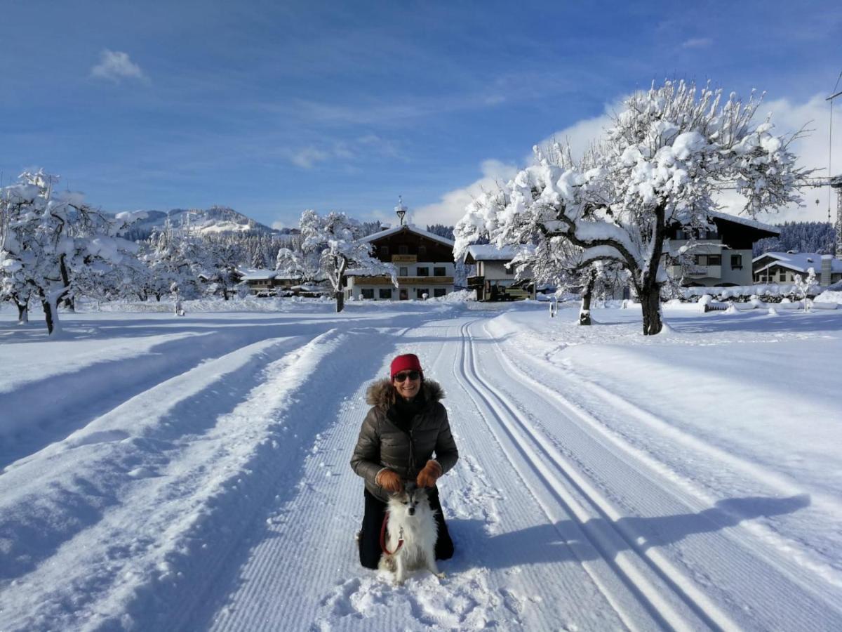 Ferienwohnung Huberhof Oberndorf in Tirol Dış mekan fotoğraf